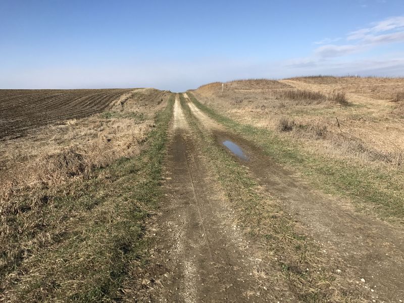 Nearest road to the confluence, about 600 meters due south of the point. 