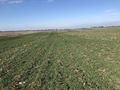 #5: Looking west from the confluence of 40 North 90 West.