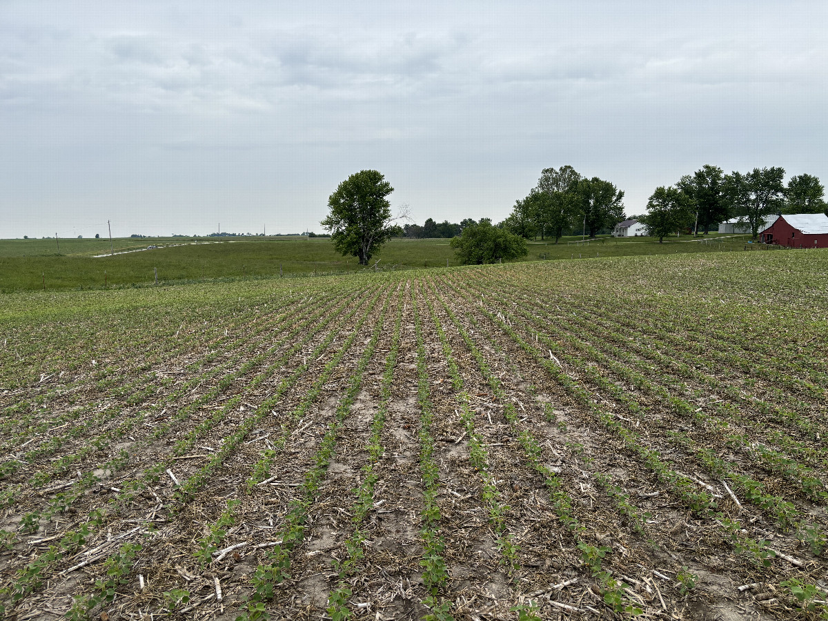 A view to the north from the confluence site. 