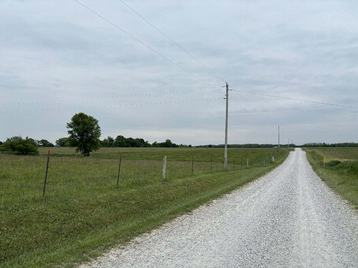 Nearest road to the confluence point.
