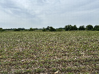 #3: A view to the east from the confluence point.