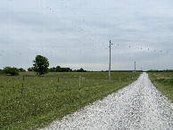 #9: Nearest road to the confluence point.