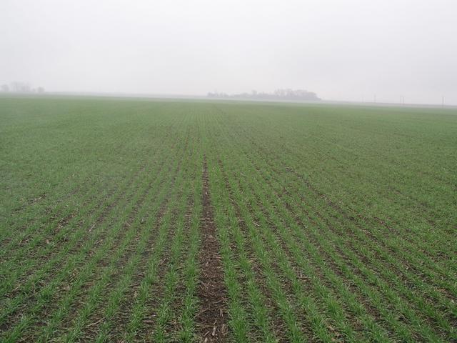 Even in the rain, the view to the south from 41N 88W reveals some flat northern IL countryside.