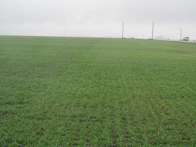 Looking west from 41N 88W; Iroquois County is to the left, Kankakee County is to the right.