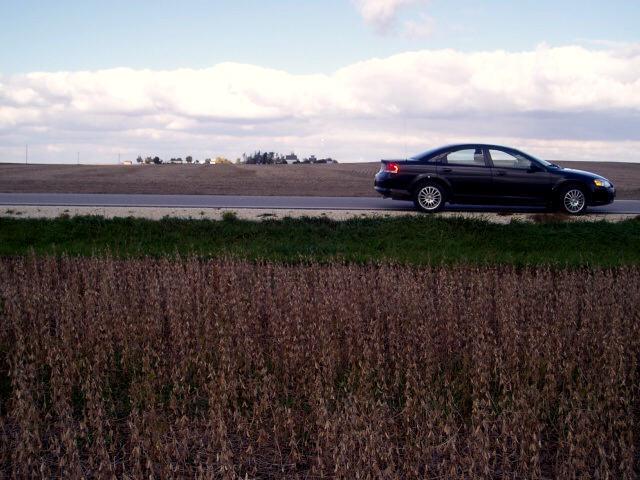 Looking North from the confluence