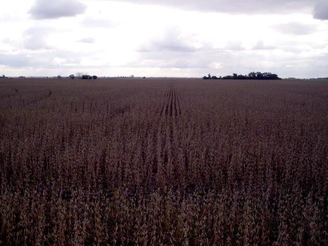 Looking South from the confluence