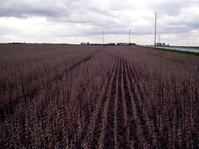 Looking West from the confluence