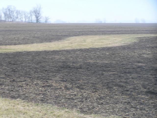 Site of 41 North 88 West, looking southeast at the confluence and beyond.