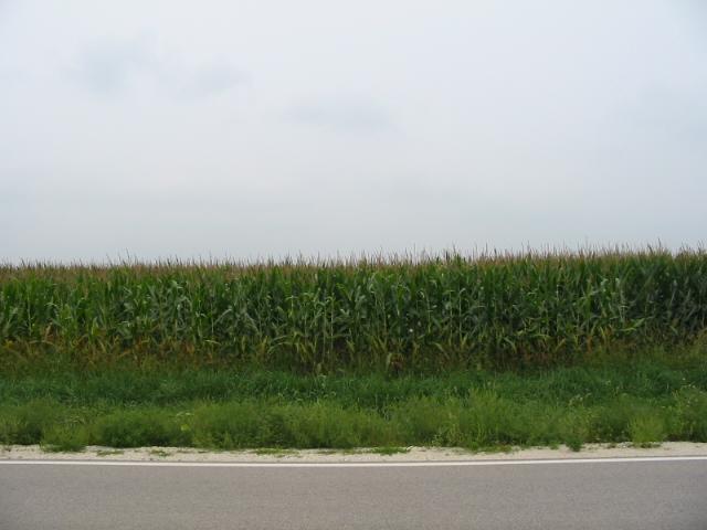North
