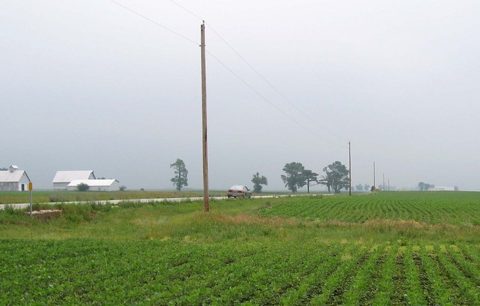 Soy beans to the east, too.
