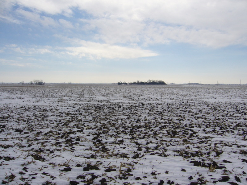 View south: field