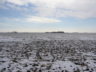 #1: View south: field
