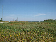 #3: View to the east