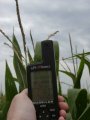 #5: The GPS Receiver, Enshrouded in Corn