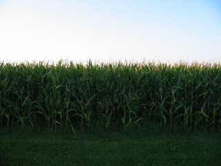 #1: General CP and North looking
