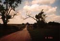 #4: View along road just south of confluence