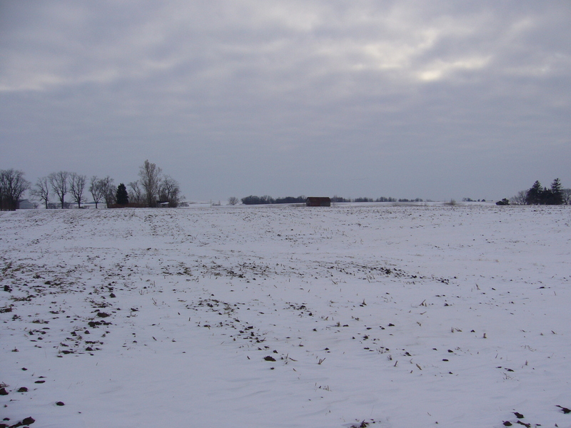 South: I parked my car next to the trees on the left