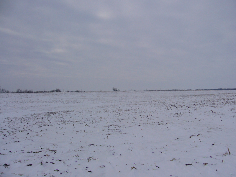 West: more harvested field