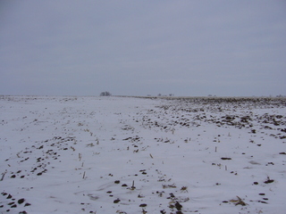 #1: North: slightly undulated field