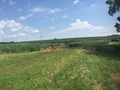 #8: Starting point for the walk, about 3/4 mile northeast of the confluence. 