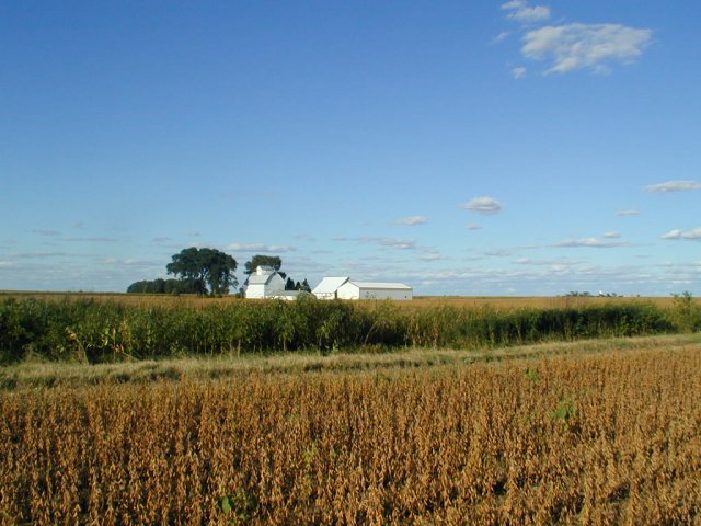 Barns, etc. northeast of confluence