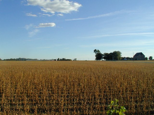 Looking due south from confluence