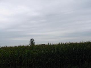 #1: East at the CP