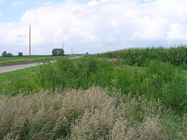 View North