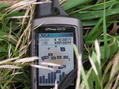 #6: My GPS receiver, 131 feet from the confluence point