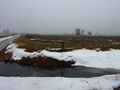 #2: View North