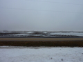 #5: View West