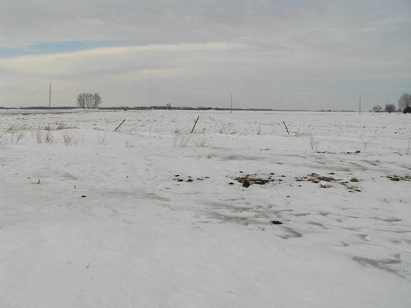 View to the north from the confluence.