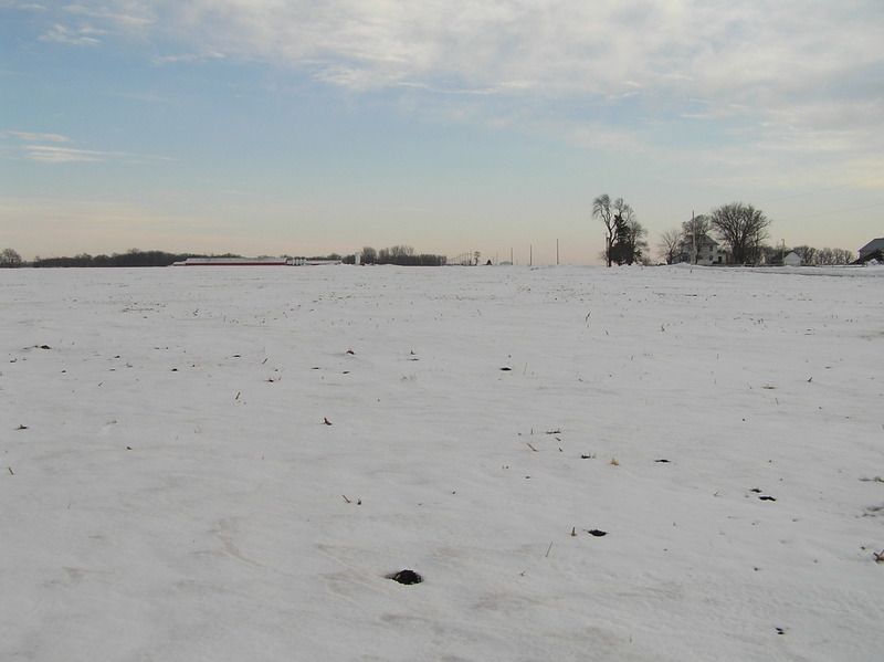 View to the south from the confluence.