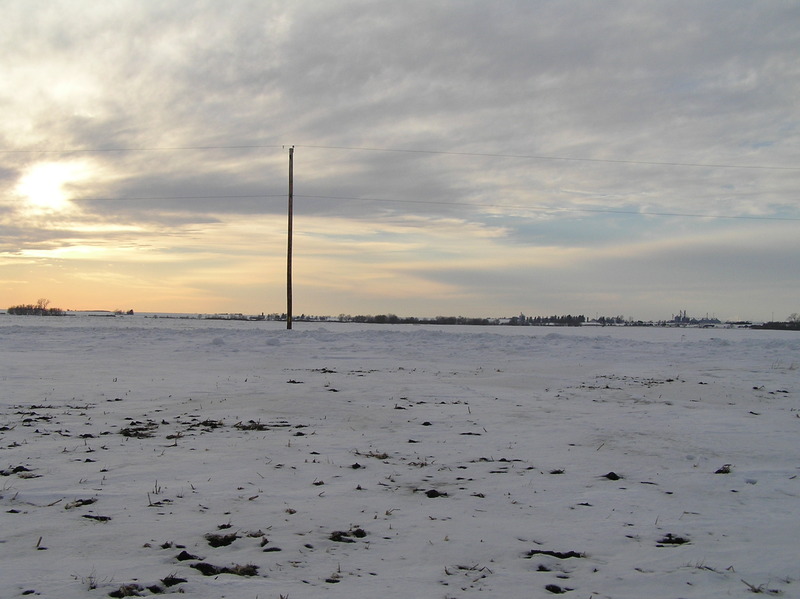 View to the west from the confluence point.