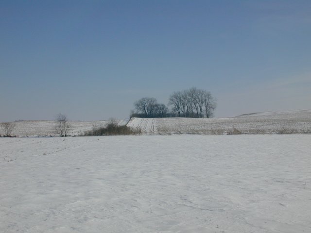 View from N42 W90 eastward