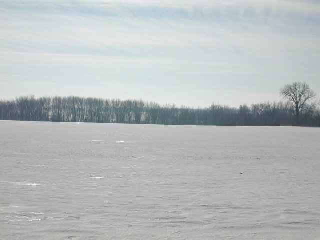 View from N42 W90 southward