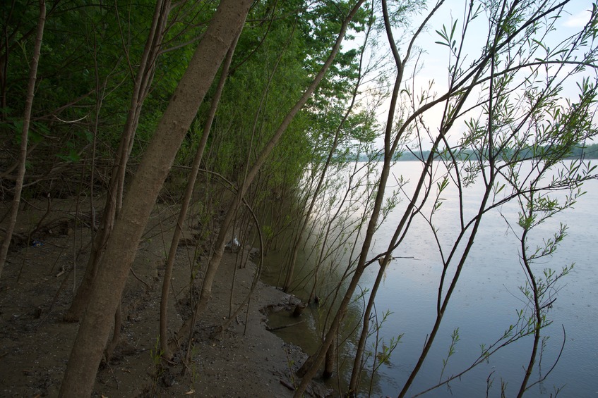 View East (along the north bank of the Ohio River)