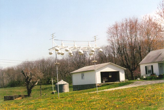 Gourd purple Martin houses