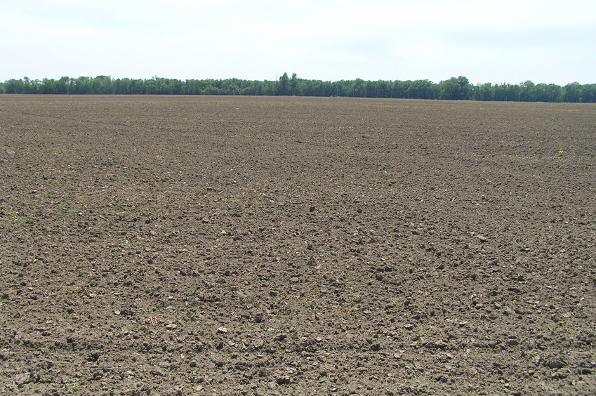 View to the south from the confluence.