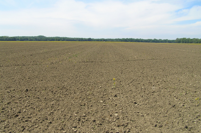 View to the west from the confluence.