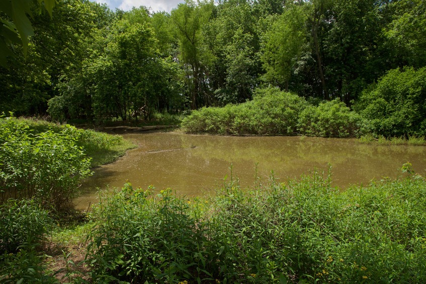 This small lake blocked my access to the point from the northeast