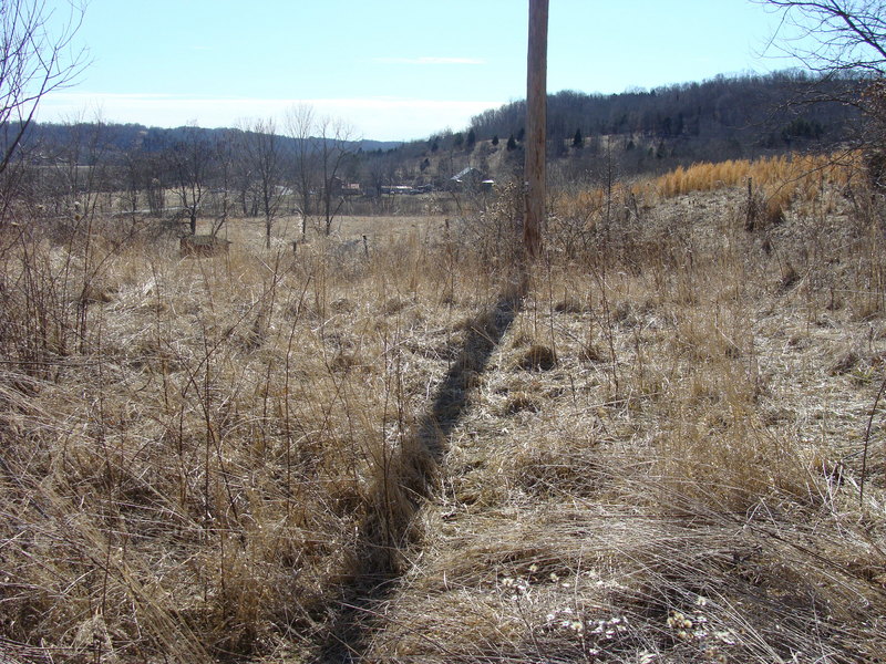 A view to the south into the mid-day sun.