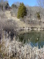 #7: Looking north from the opposite side of the pond, with the point in the center of the photo.