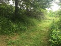 #5: View to the north from the confluence.