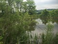 #6: View to the east from the confluence.