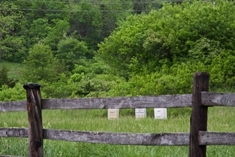 #1: The confluence point lies 200 feet away in this farm - just beyond the trees in the foreground