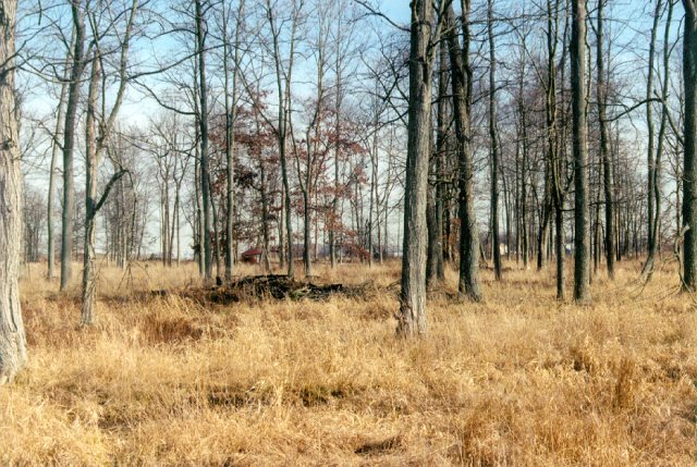 Looking southeast from the confluence