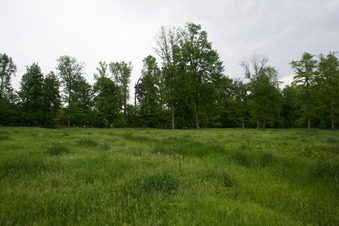 #1: View North