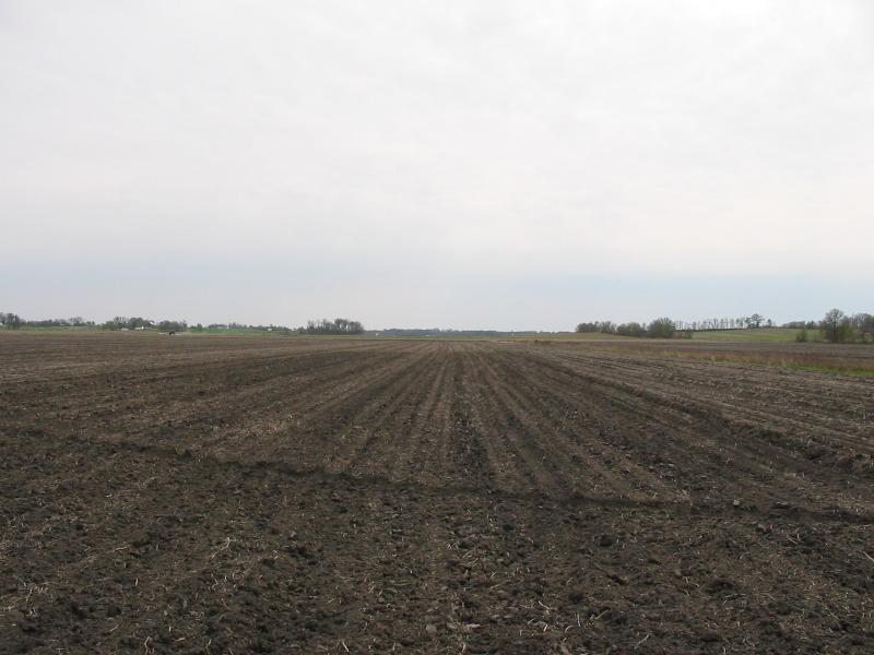 Looking south.