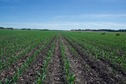 #3: View South